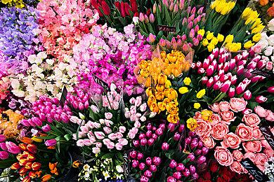 2023年Steam平台平均每天推出近40款新游戏